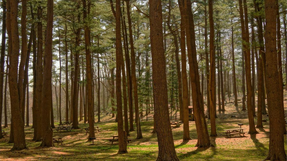 Illustration zu Flugzeugtraeger USA