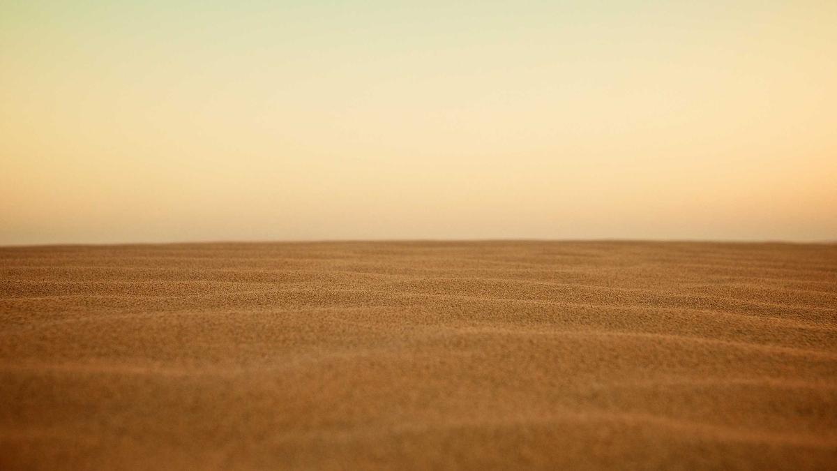 Detailansicht: Freundschaftsprobleme