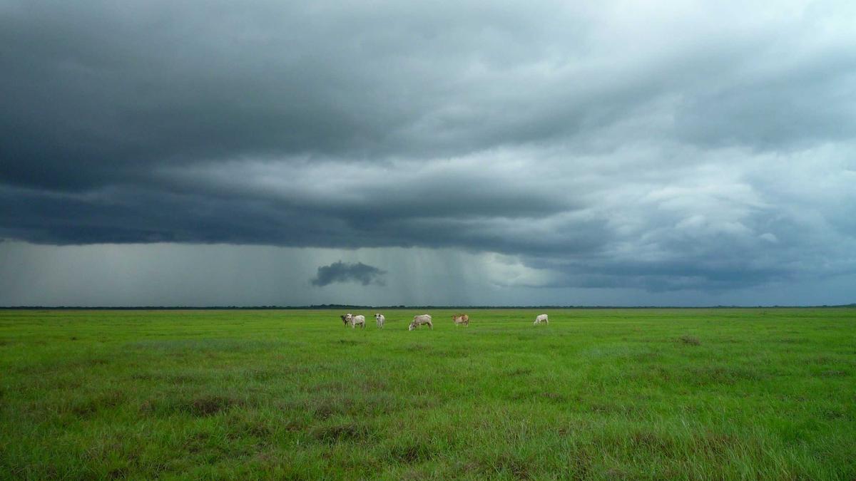 Symbolbild zum Thema Gartenarbeit April