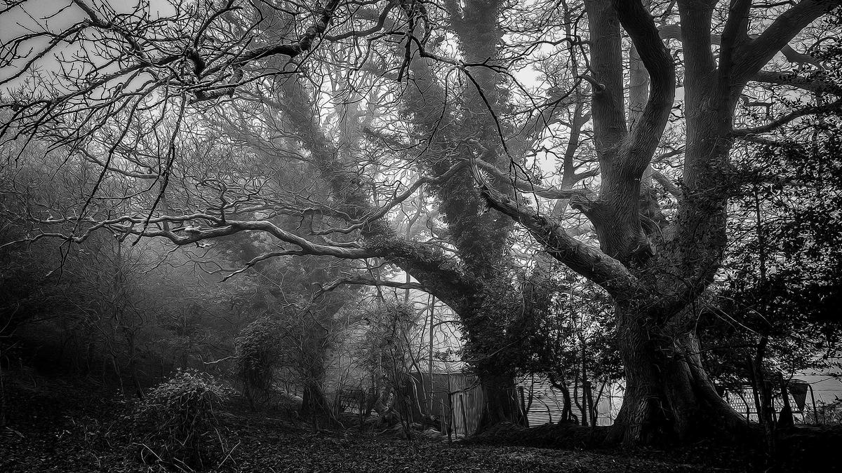 Gesine Cukrowski Trennung Symbolbild zum Thema Gesine Cukrowski Trennung