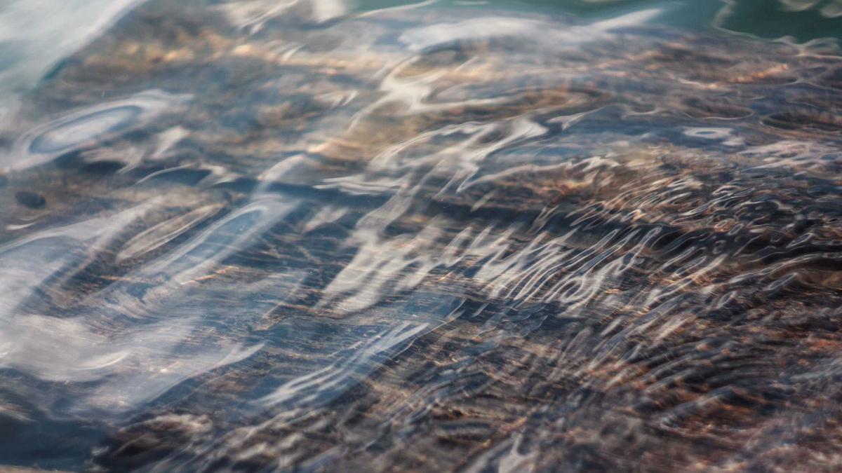 Illustration zu Gino Paoli