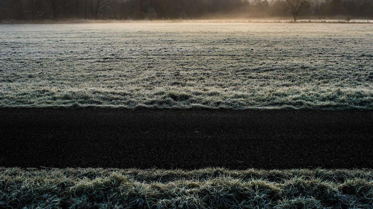 Detailansicht: Gurken Anpflanzen