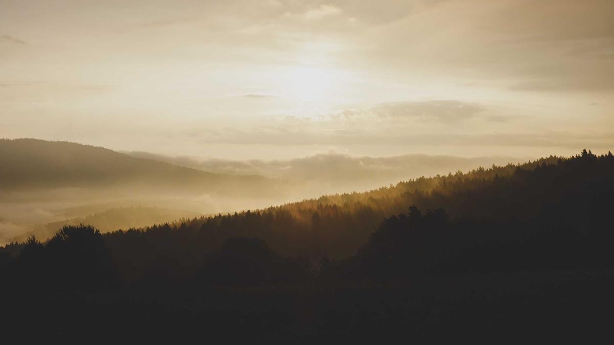 Symbolbild zum Thema Harry Meghan Filmprojekte