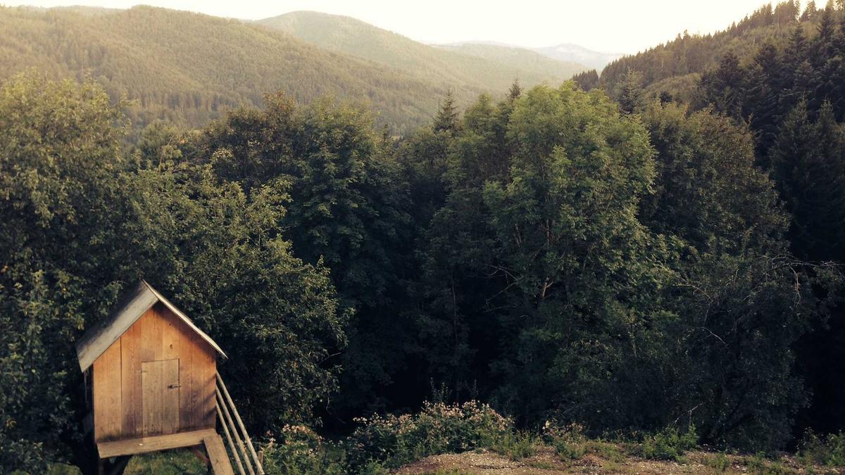 Detailansicht: Heidi Reichinnek