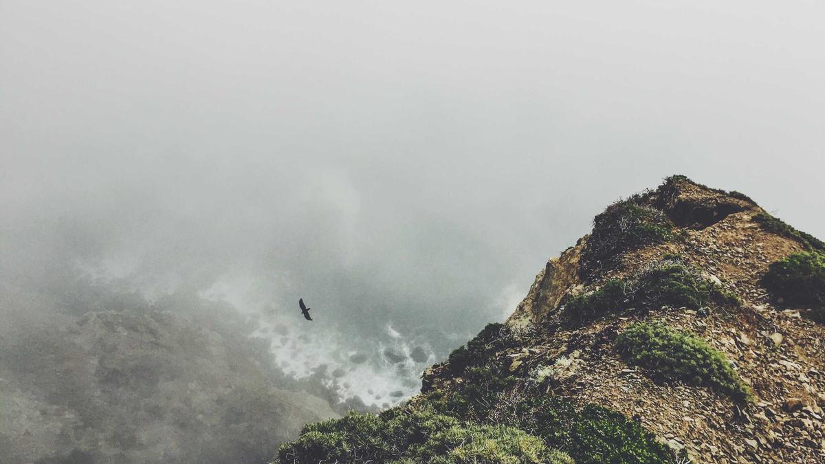 Detailansicht: Herzogin Meghan Netflix