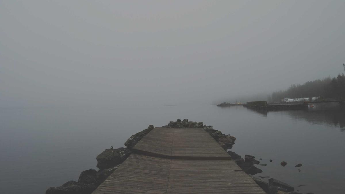 Hornspäne Dünger Detailansicht: Hornspäne Dünger