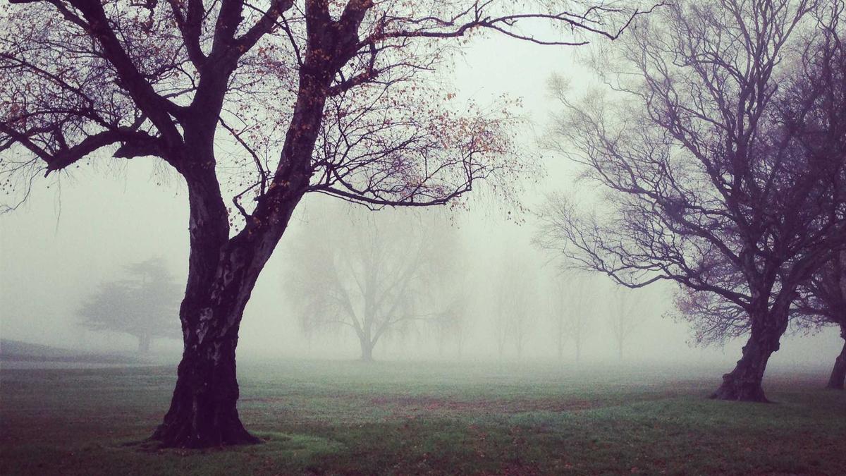 Illustration zu International Womens Day