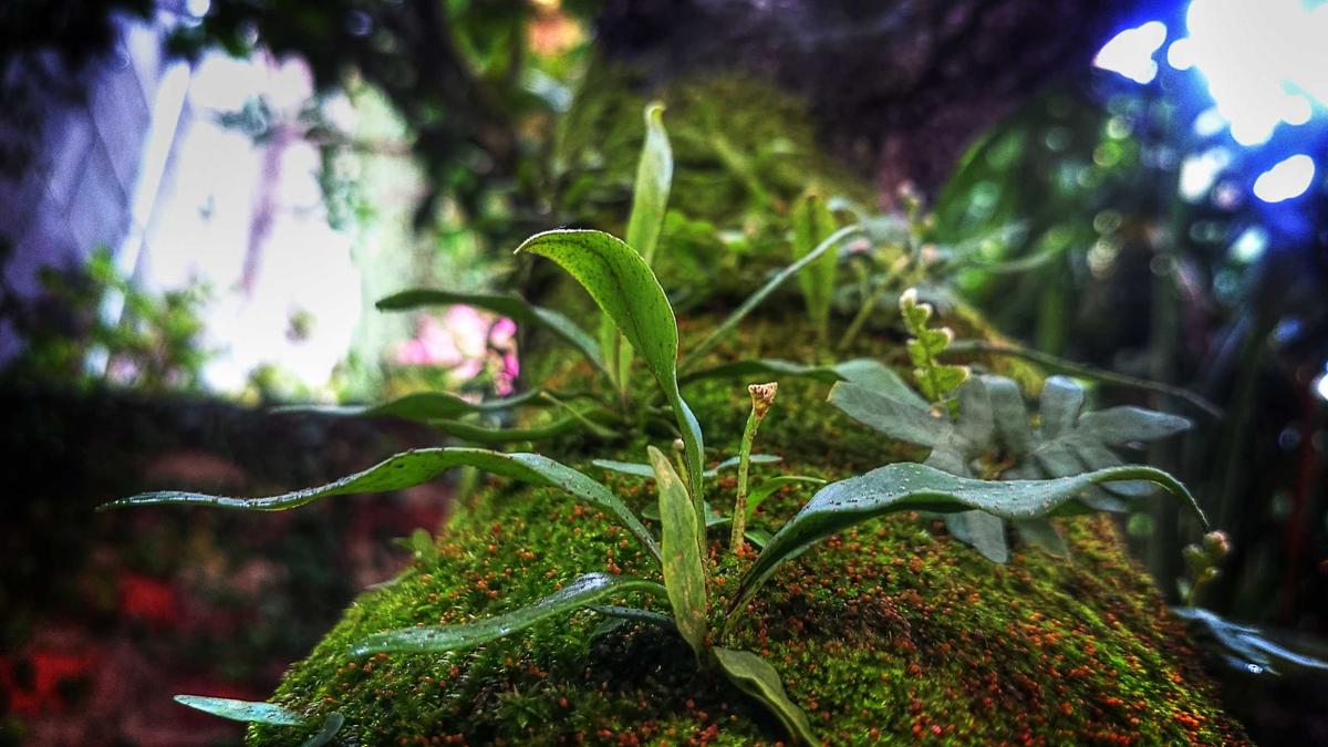 Symbolbild zum Thema John Hammond Tot