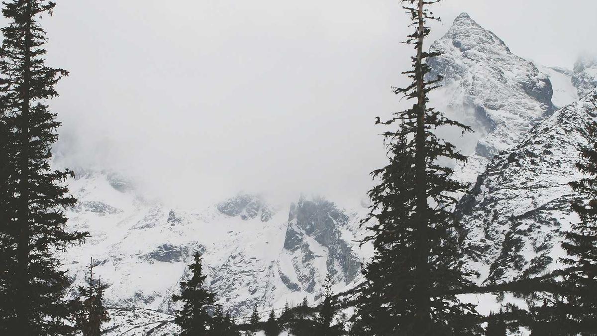 Detailansicht: Justin Bieber Ausraster