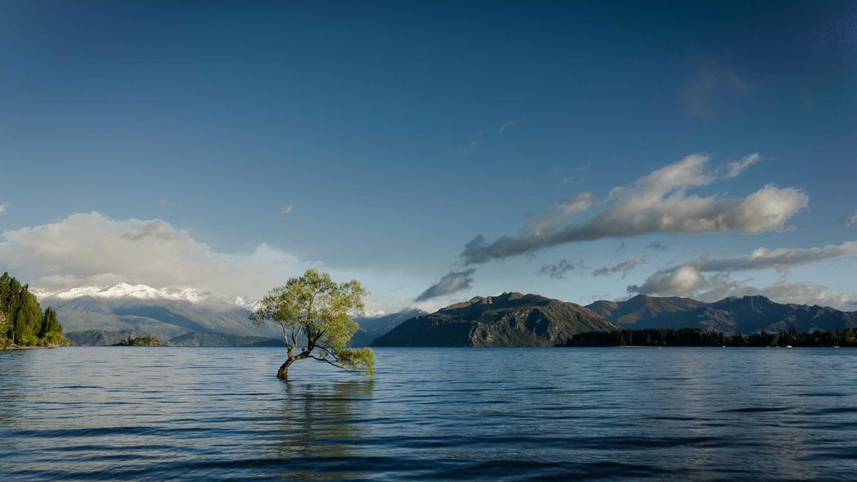 Illustration zu Kalenderblatt 8 März