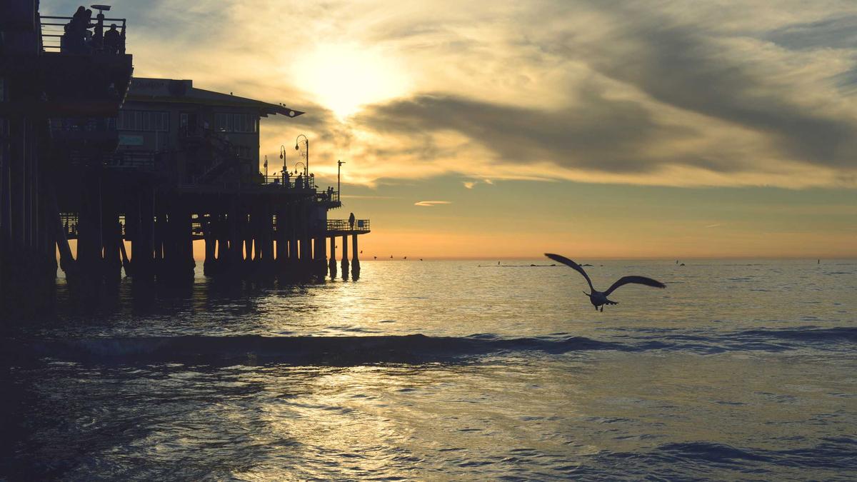 Detailansicht: Kalenderblatt 8 März