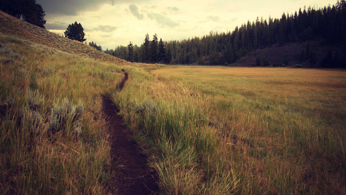 Illustration zu KVB Streik Koeln