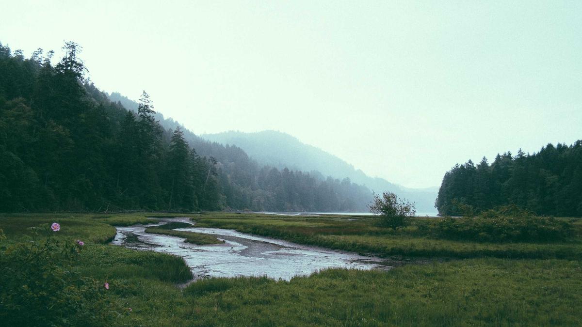 Detailansicht: Lawinenunglück Südtirol
