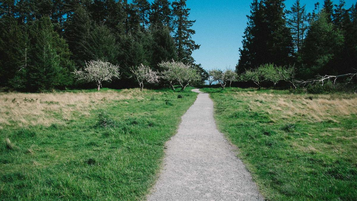 Detailansicht: Lottozahlen Samstag