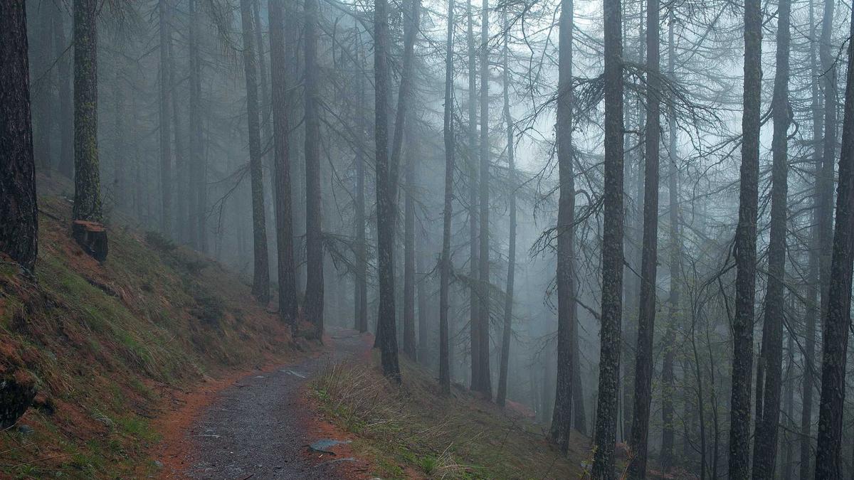 Symbolbild zum Thema Marie Nasemann