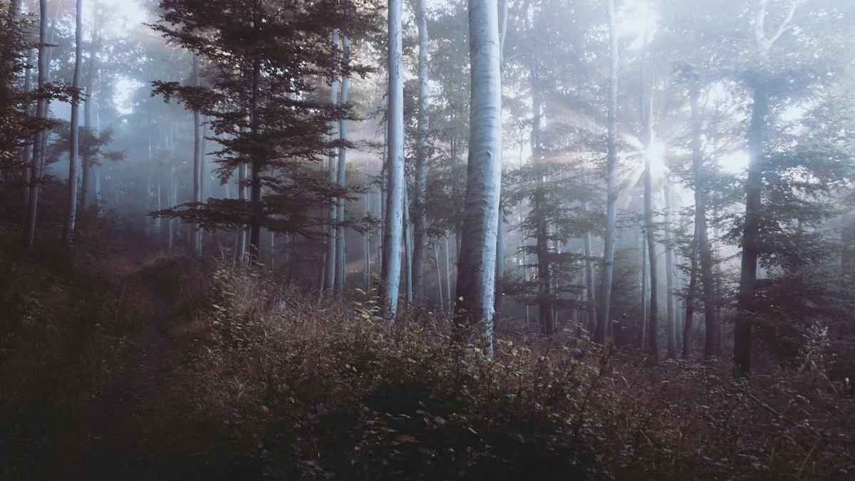 Detailansicht: Max Giesinger