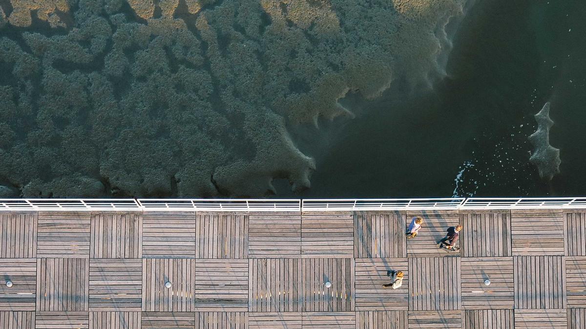 Symbolbild zum Thema Mein Schiff