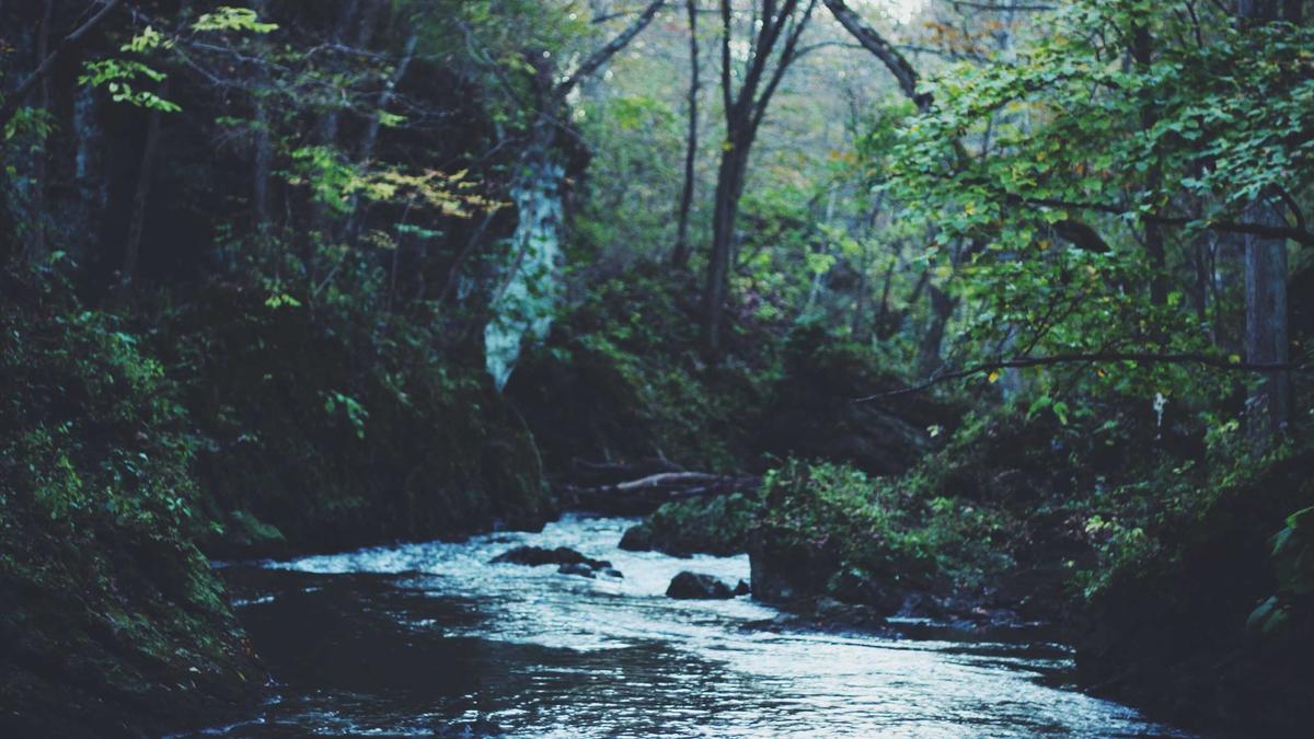 Illustration zu Netflix Erhöht Preise