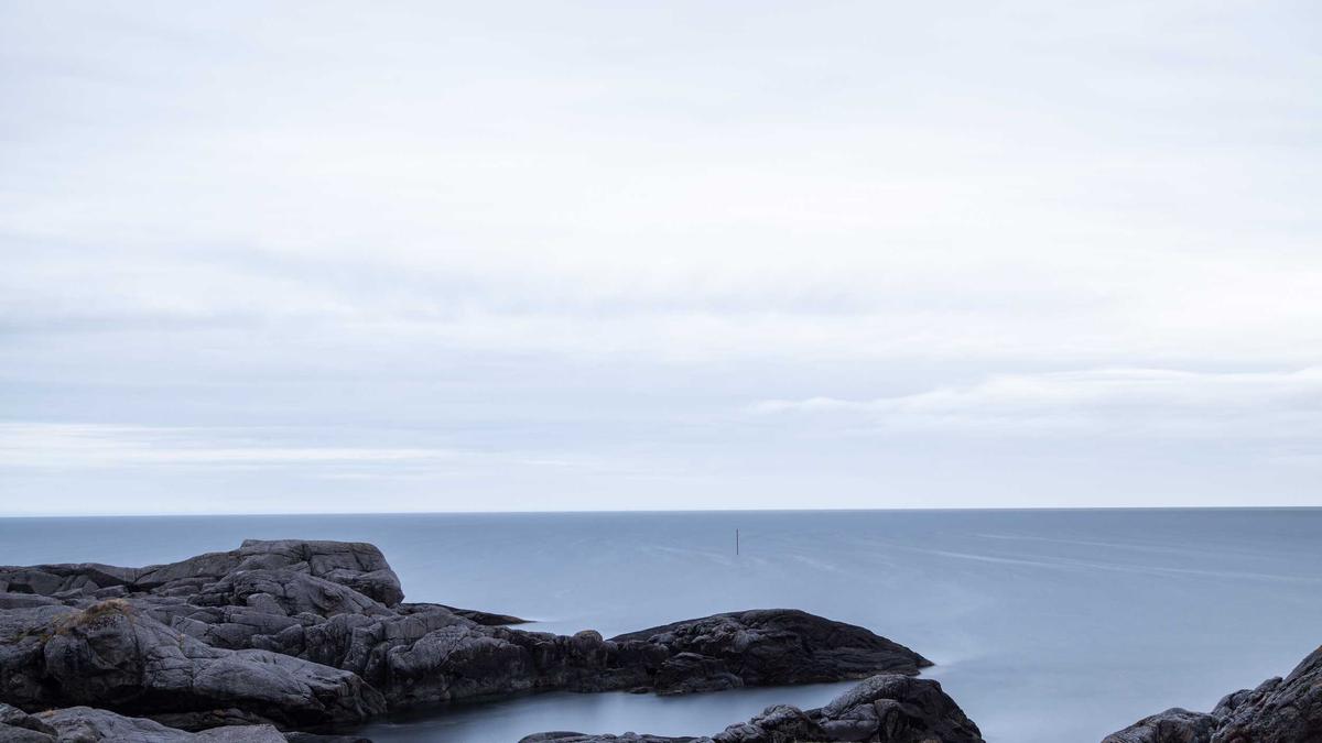 Illustration zu Ostsee Buckelwale