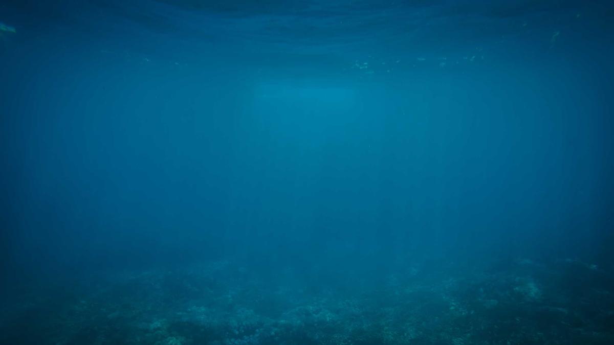 Illustration zu Ozan Ergün