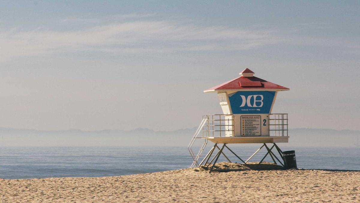 Illustration zu Paleo Programme 2026