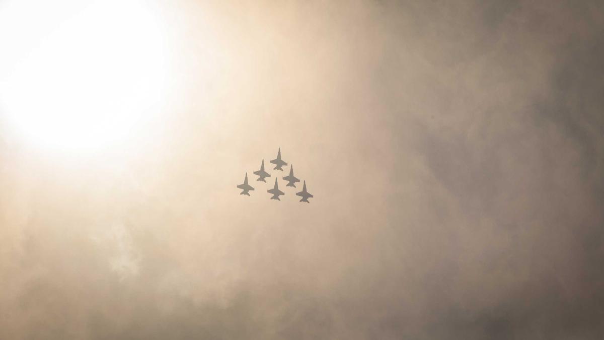 Illustration zu Pampasgras Schneiden