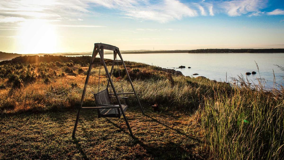 Detailansicht: Pferdeanhaenger