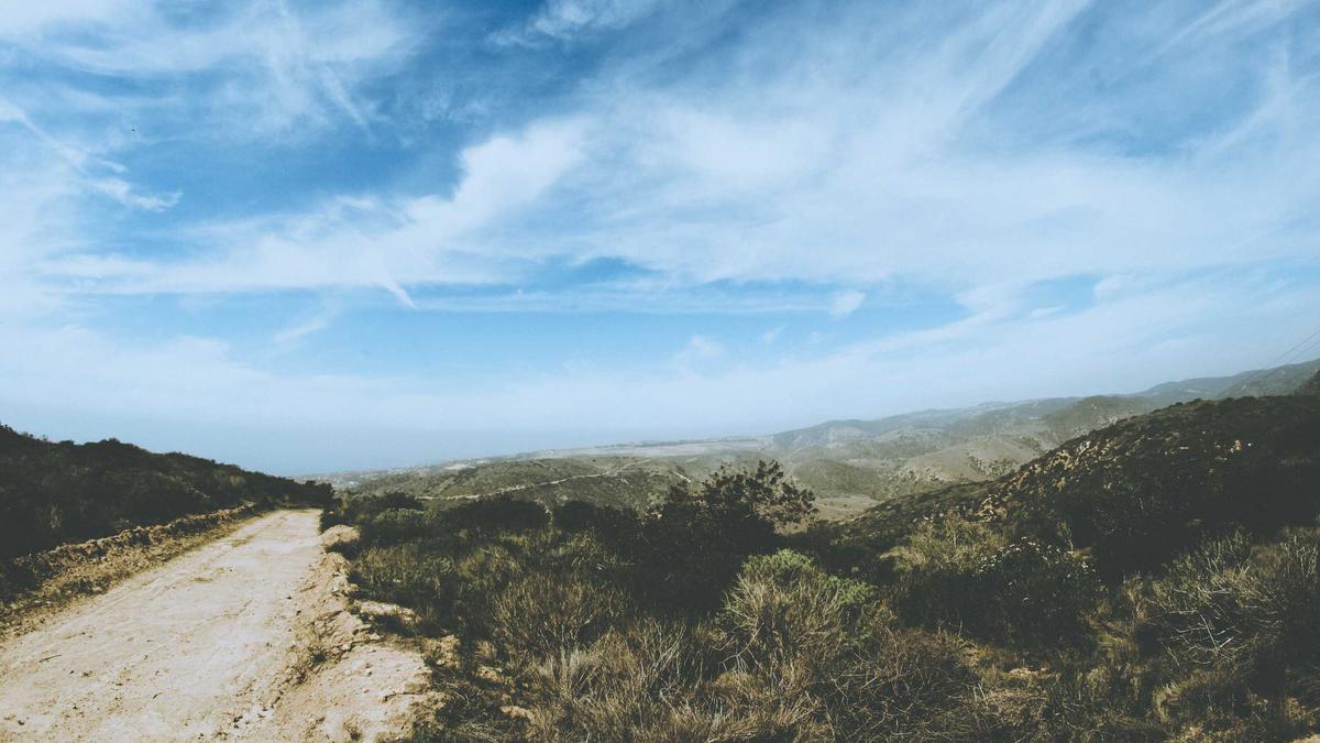 Symbolbild zum Thema Rasen Vertikutieren Herbst