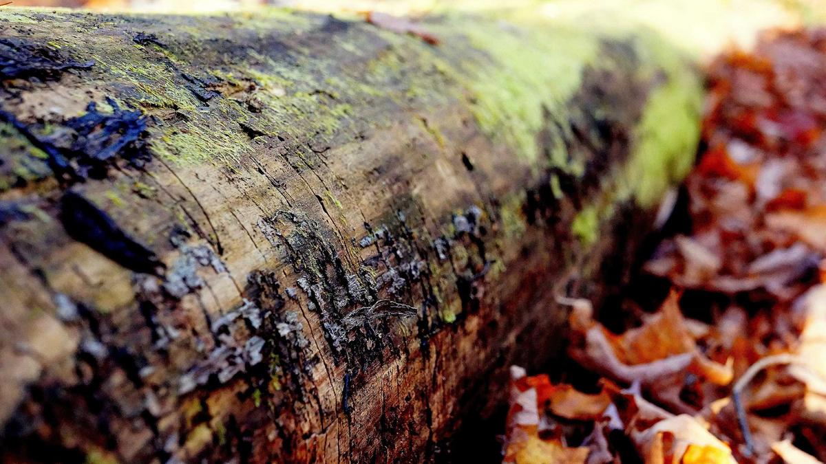 Detailansicht: Rebecca Adlington Baby