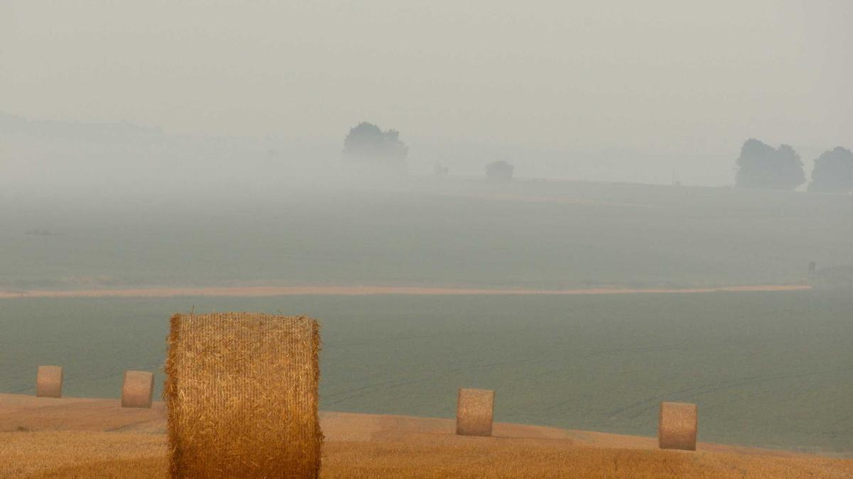 Detailansicht: Rheinisches Seenland