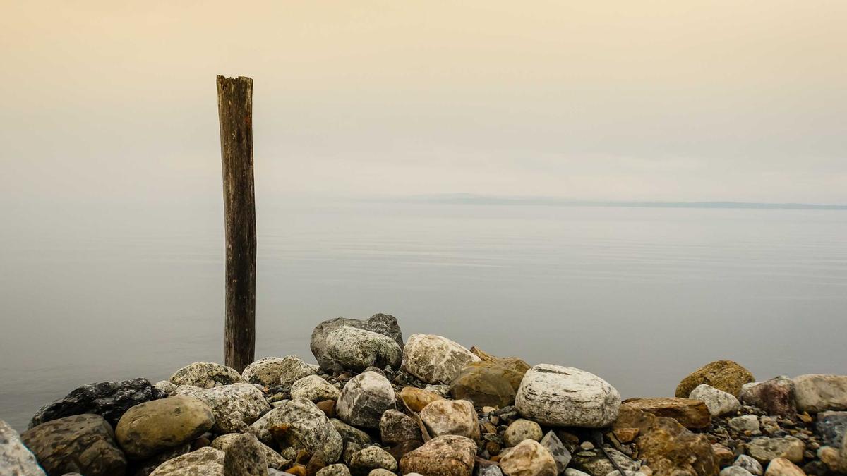 Detailansicht: Roboter Tanz Unfall