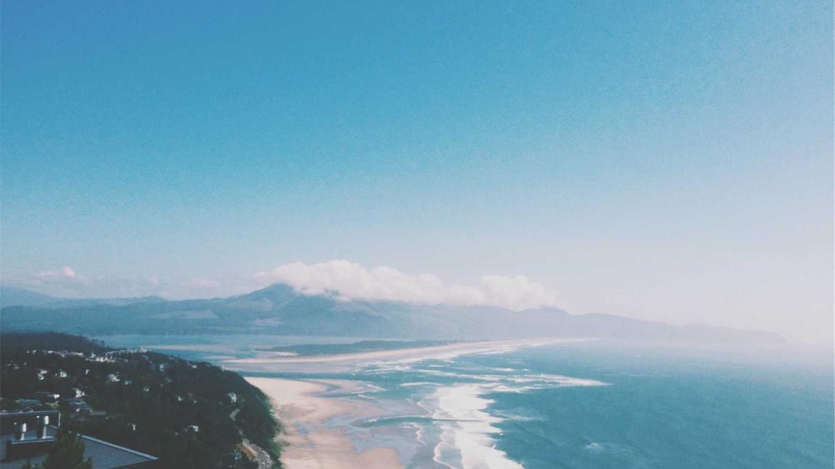 Schalke – Hannover 96 Detailansicht: Schalke – Hannover 96