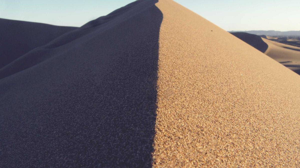 Sean Penn Oscar Detailansicht: Sean Penn Oscar