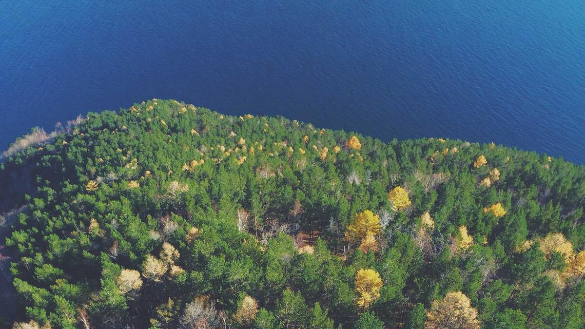 Detailansicht: Senta Berger Unfall