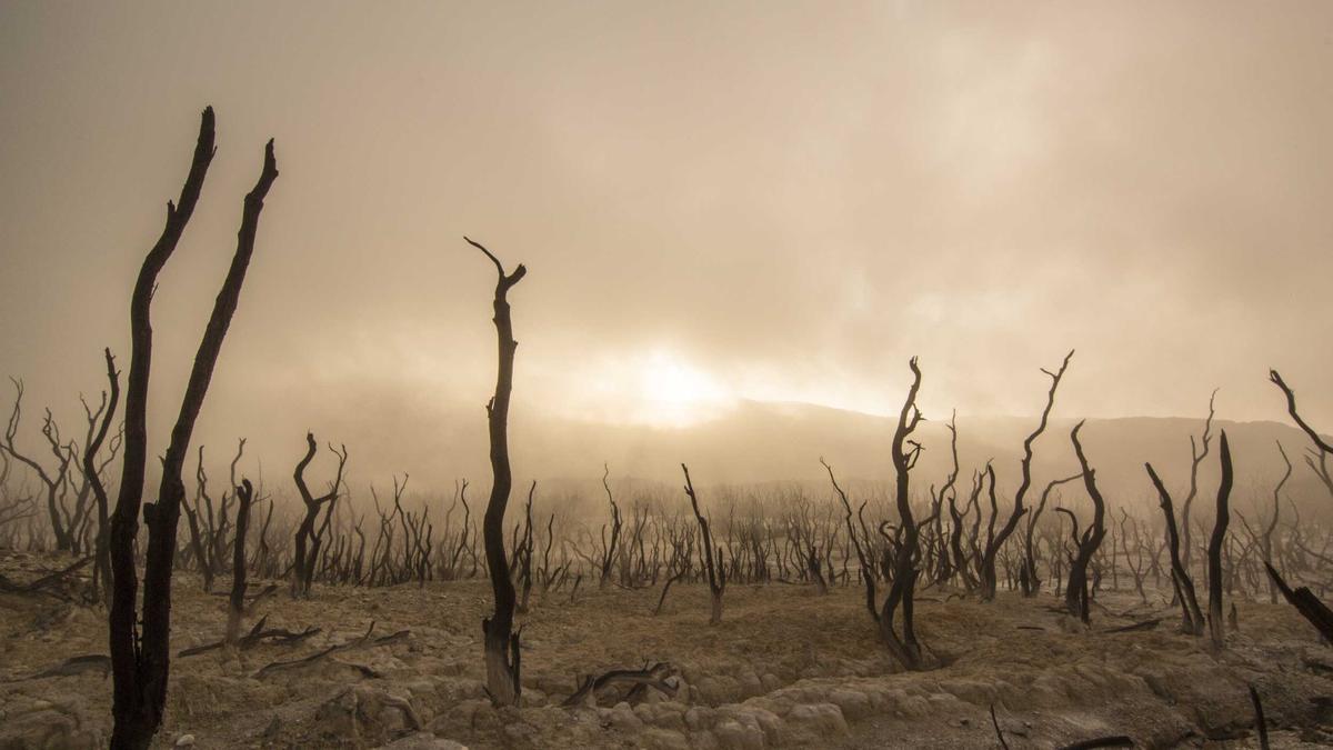 Spritpreise Illustration zu Spritpreise