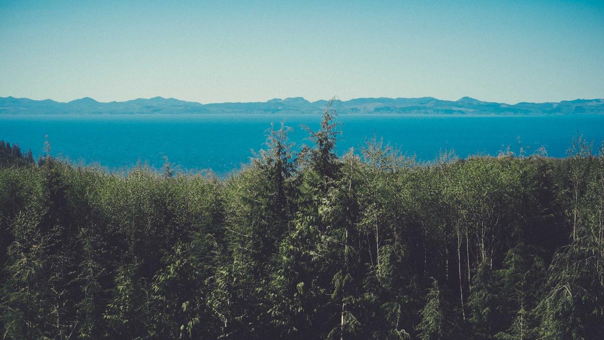 Symbolbild zum Thema Staub Gesundheit