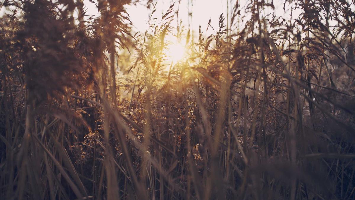 Thueringen Illustration zu Thueringen