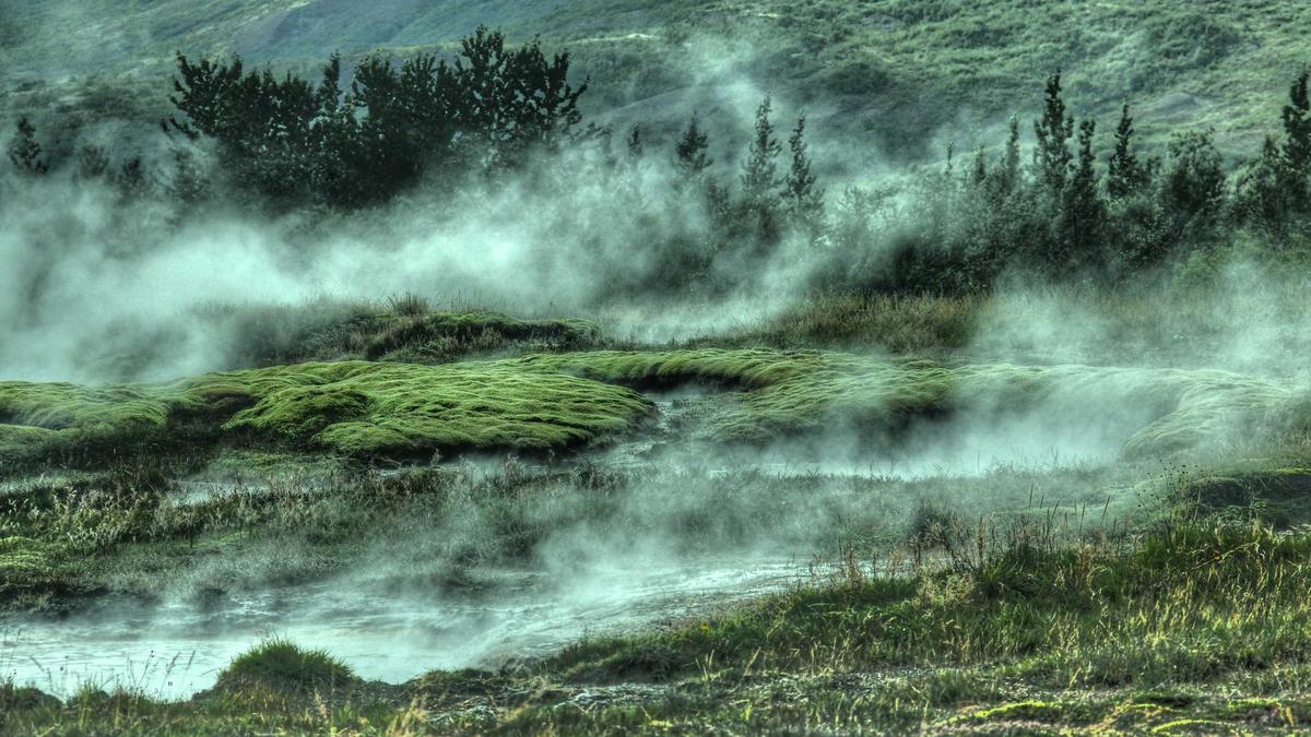 Detailansicht: Timmendorfer Strand Wal