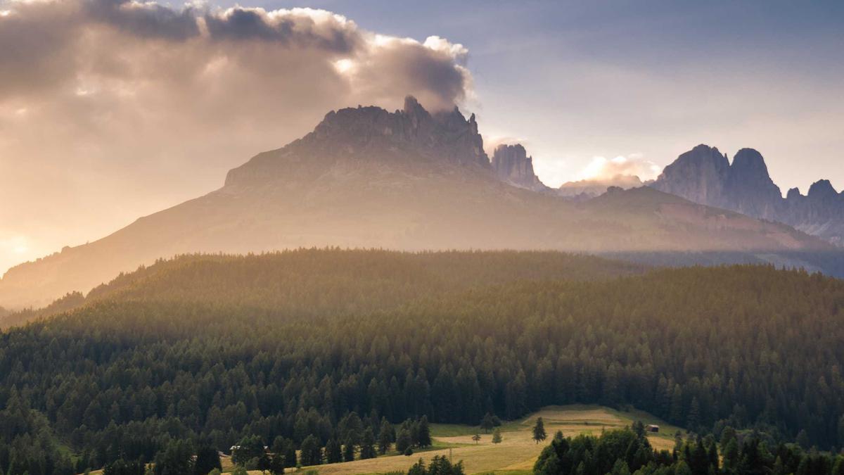 Top Verdiener Orf Symbolbild zum Thema Top Verdiener Orf
