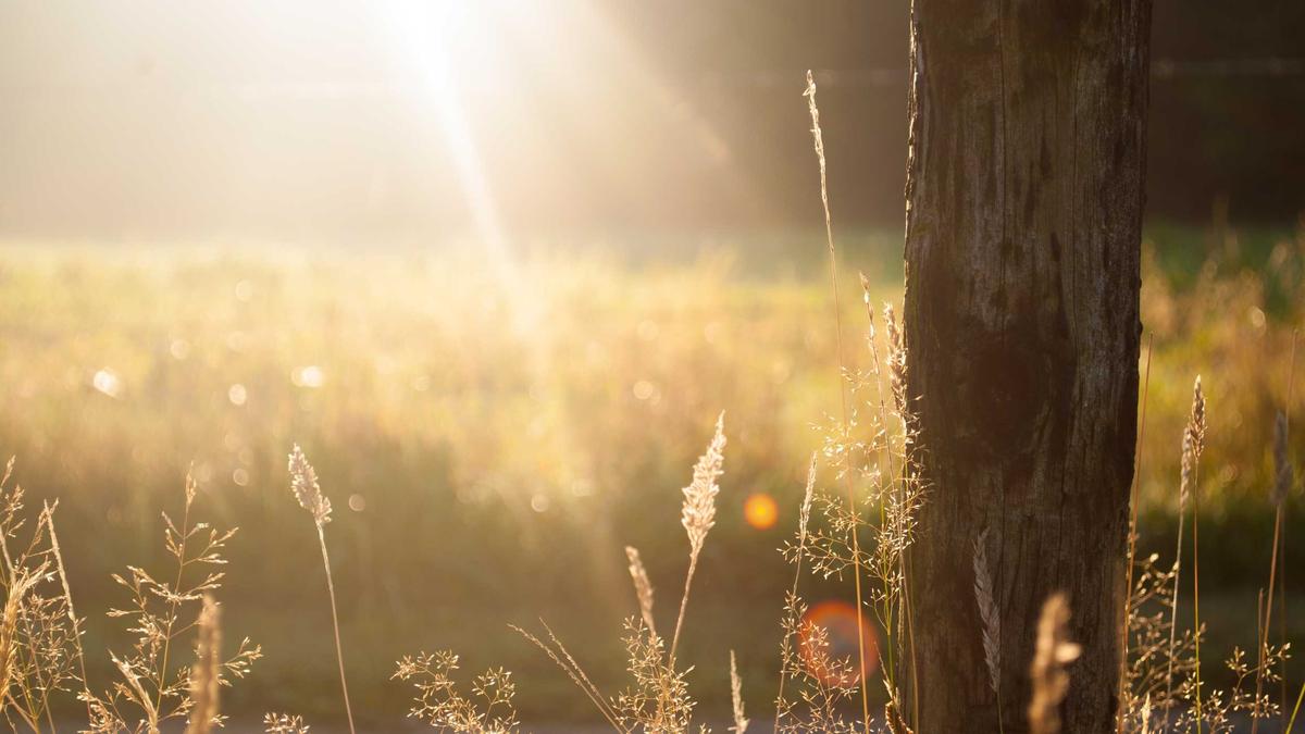 Illustration zu Udo Lindenberg Miniatur Wunderland