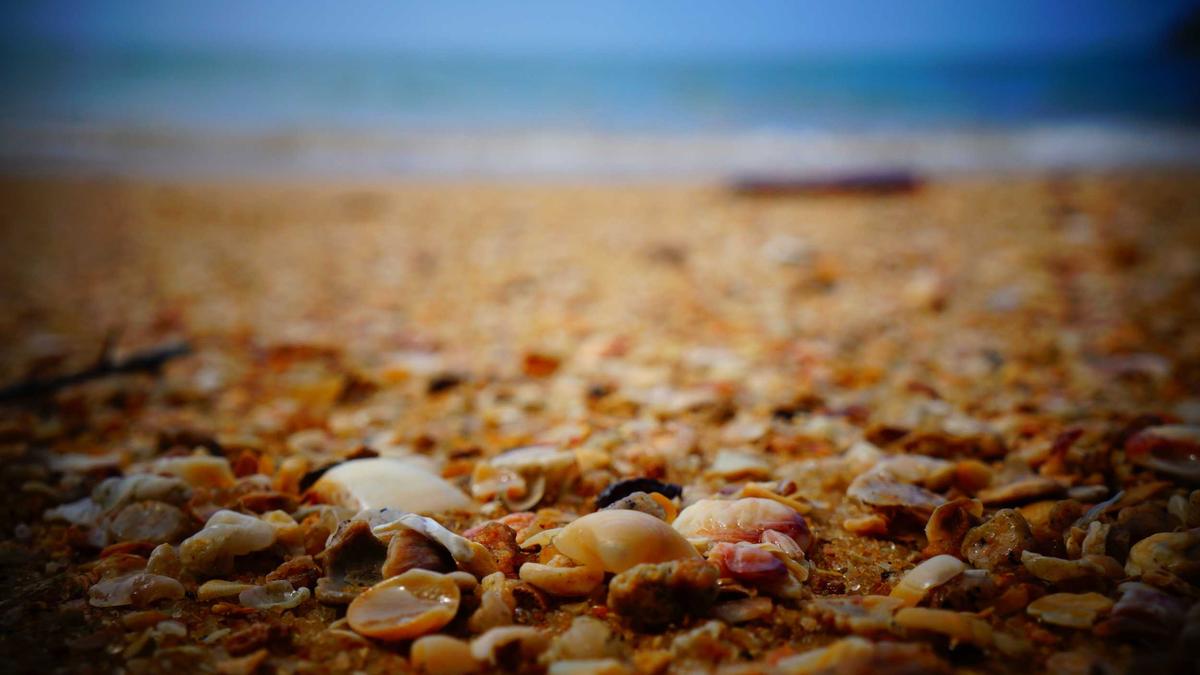 überschwemmung Hawaii Illustration zu überschwemmung Hawaii