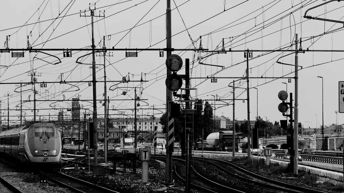 Detailansicht: Wal In Wismar