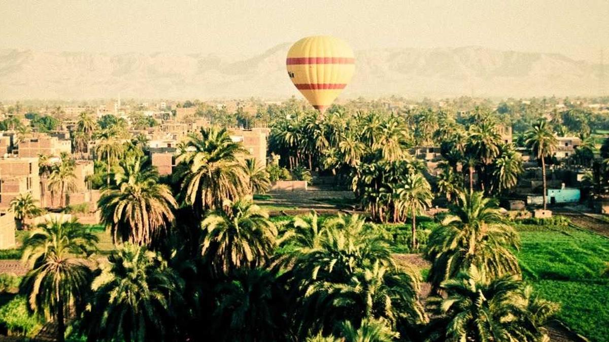 Wie Geht Es Dem Wal Illustration zu Wie Geht Es Dem Wal