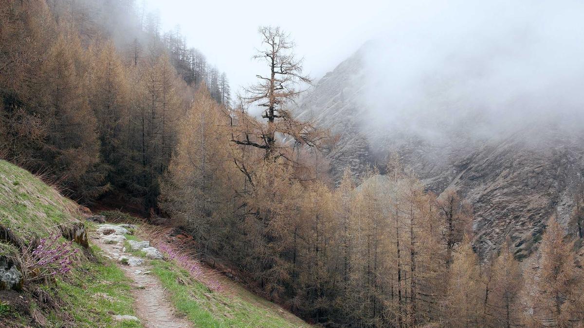 Detailansicht: WSG Tirol – Gak