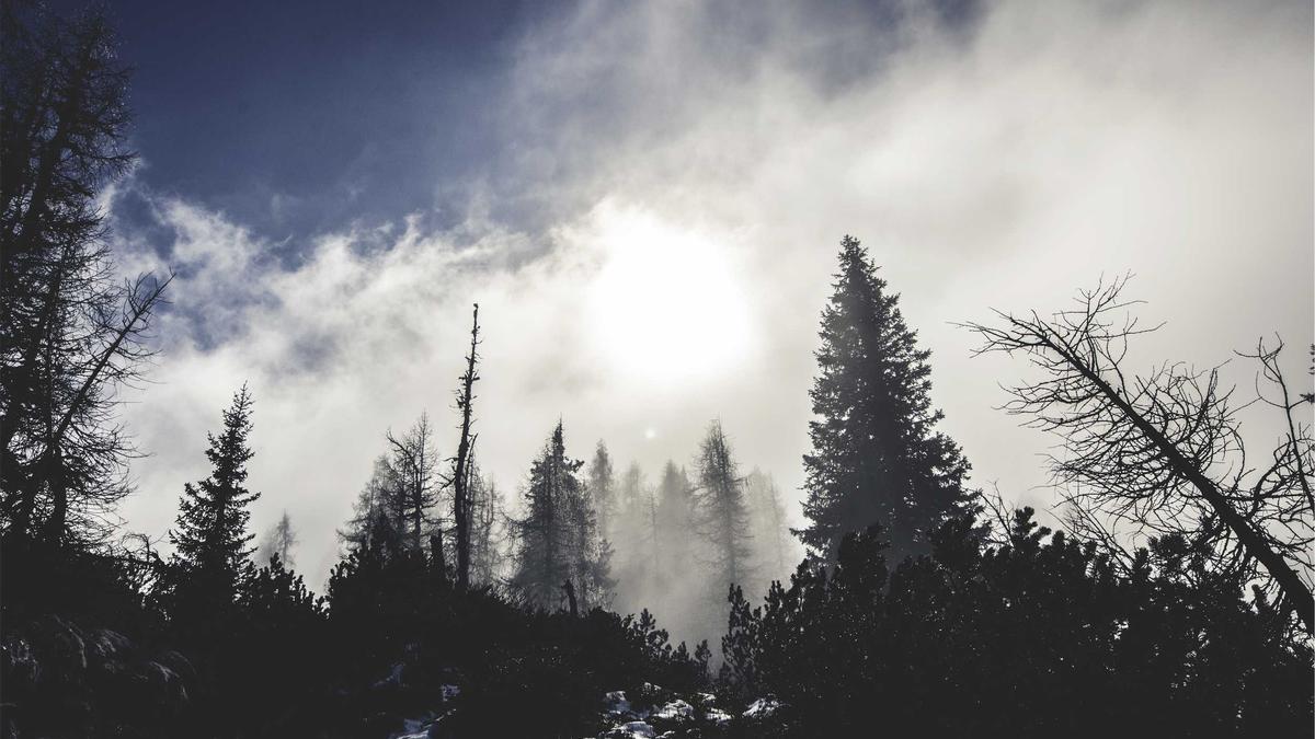 Detailansicht: Alec Baldwin Rust