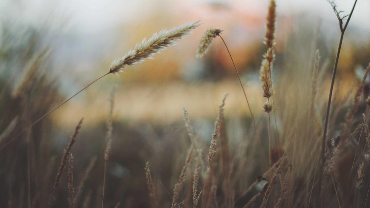 Detailansicht: Alexander Manninger Emily