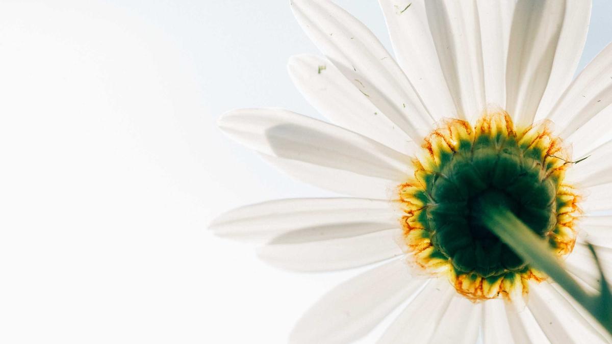 Illustration zu Augentest Regenschirm