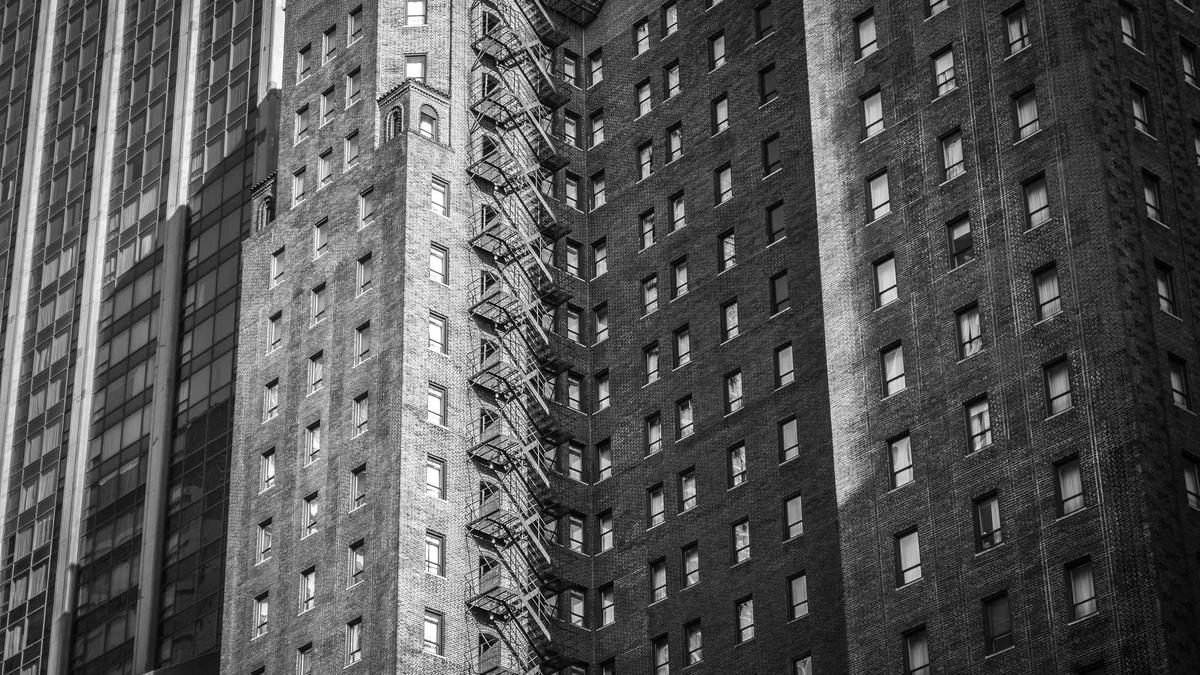 Symbolbild zum Thema Balkon Baum Pflanzen