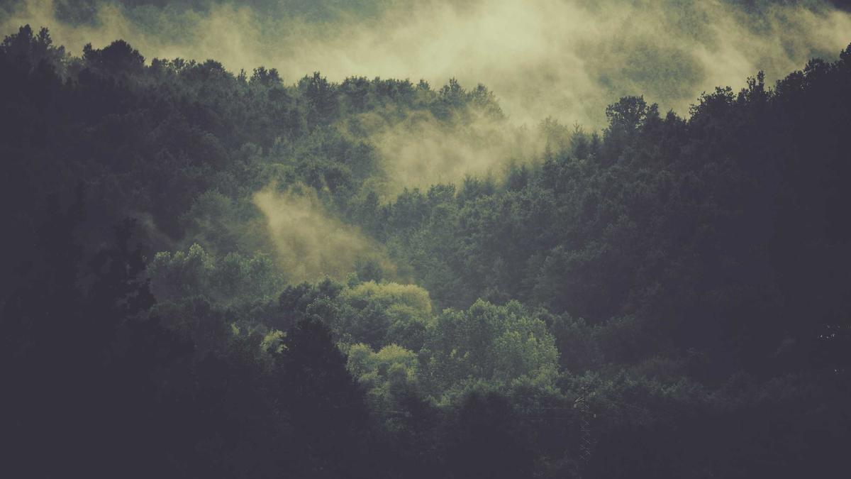 Detailansicht: Beyonce Cécred Event