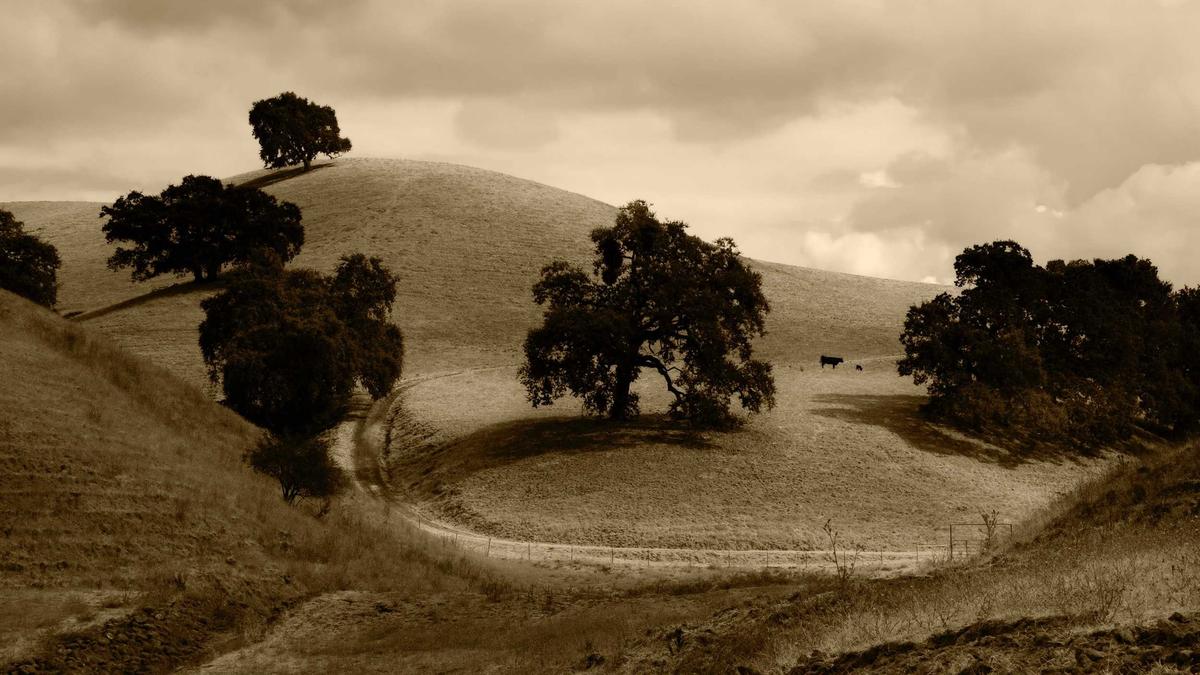 Illustration zu Block Entführung Prozess